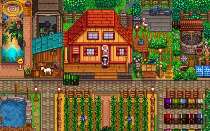 星露谷物语新手玩什么地图2