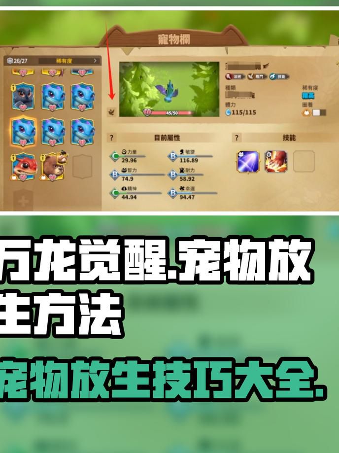 万龙觉醒为什么没有宠物洗练功能2