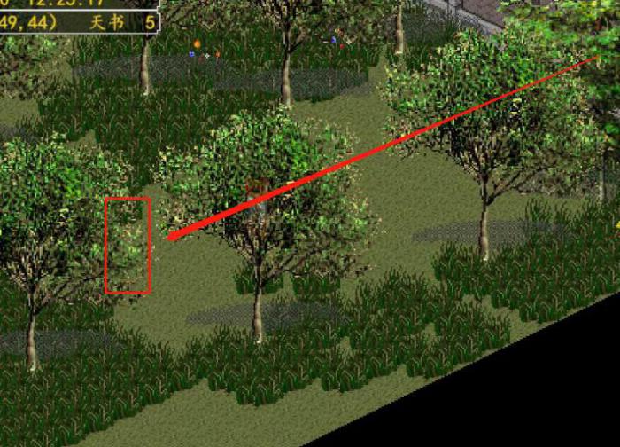 金庸群侠传3为啥入不了华山门1