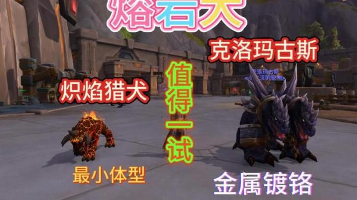 魔兽白色熔岩犬哪里抓2