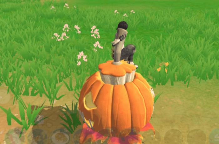 创造与魔法庆典南瓜坐骑能飞吗_创造与魔法庆典南瓜坐骑速度