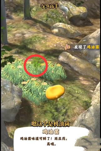 夺笋高手金钗石斛怎么获得4