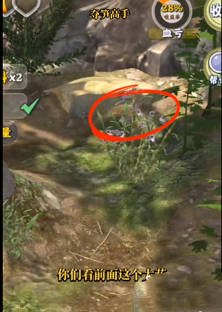 夺笋高手金钗石斛怎么获得5