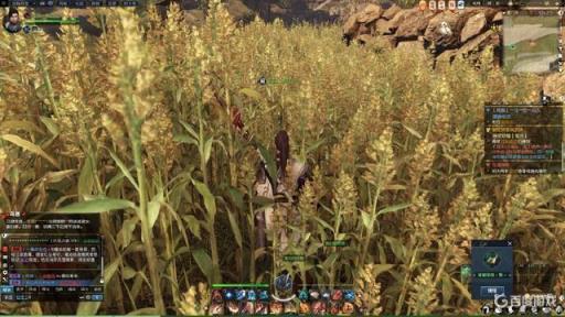 逆水寒挖宝能挖出什么?11