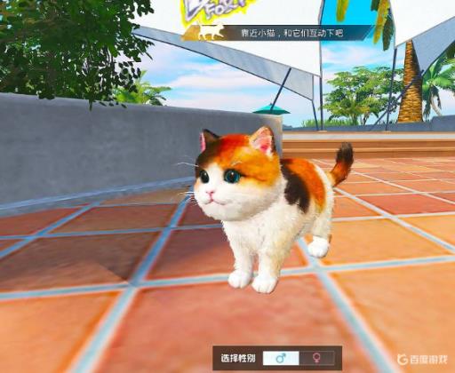 和平精英家园宠物在哪?13