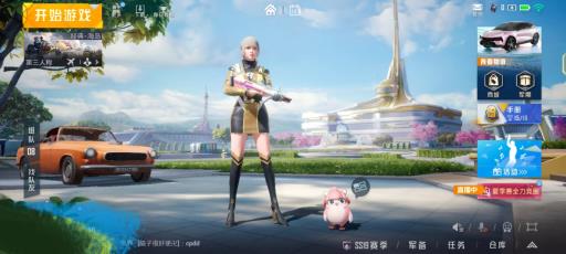 和平精英粉装有哪些?1