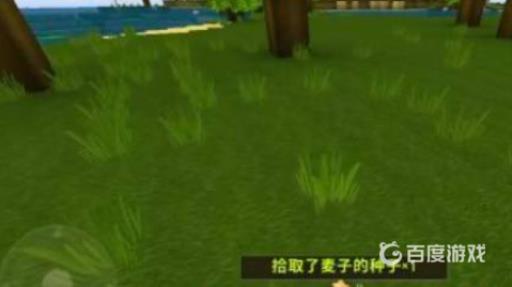 迷你世界大麦种子在哪有?2