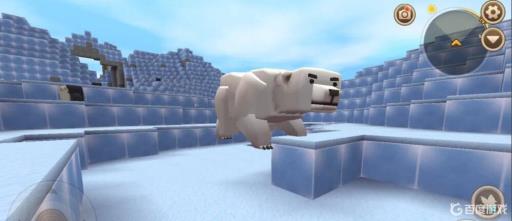 迷你世界的野生北极熊怎么驯服的?1