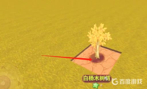 迷你世界金树怎么种?3