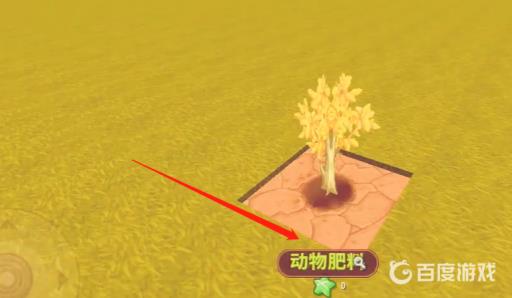 迷你世界金树怎么种?4