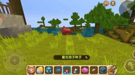 迷你世界的小鸡怎么进?1