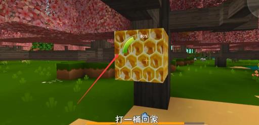 迷你世界如何取蜂蜜?3