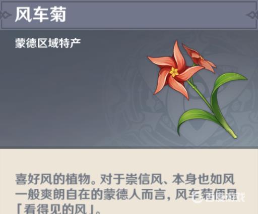 原神风车菊最佳采集路线怎么走?2