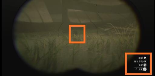 荒野大镖客2老鼠在哪抓?4