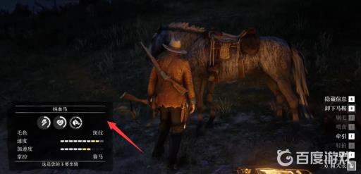 荒野大镖客2纯血马在哪里抓?4