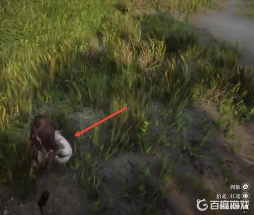 荒野大镖客2传说狐狸在哪?4