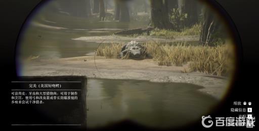 荒野大镖客2鳄鱼皮怎么打出完美?2