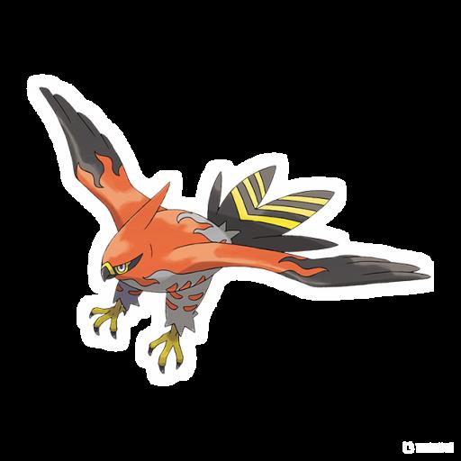 究极绿宝石烈箭鹰在哪抓?1