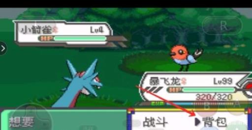 究极绿宝石烈箭鹰在哪抓?2