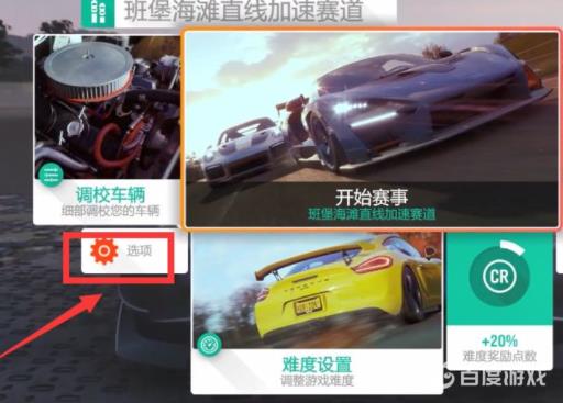 地平线4手柄震动在哪里设置?1