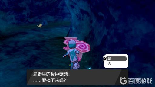 宝可梦极巨蘑菇在哪里采?3