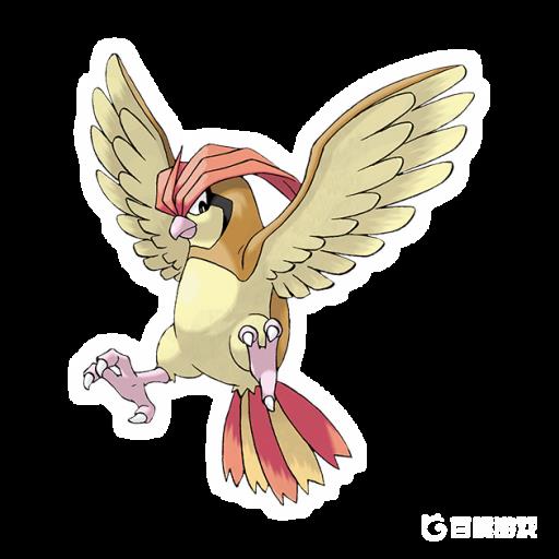 口袋妖怪比比鸟几级进化?1