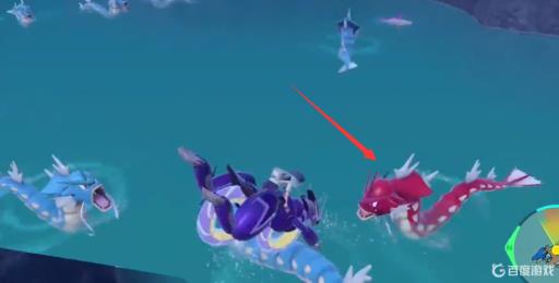 宝可梦剑盾怎么抓红暴鲤龙的?2