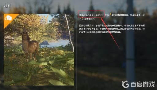 hunter怎么拍照?2