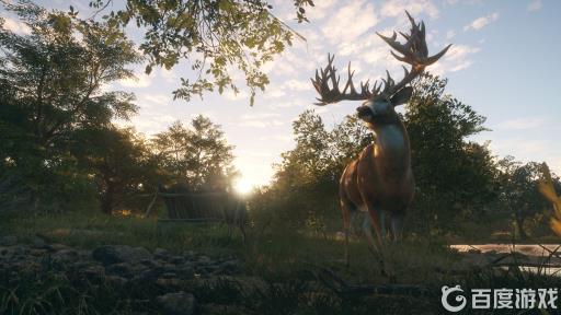 thehunter进不去游戏怎么办?_thehunter打不开