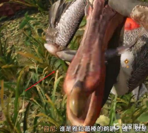 孤岛惊魂6怎么喂鹈鹕?4