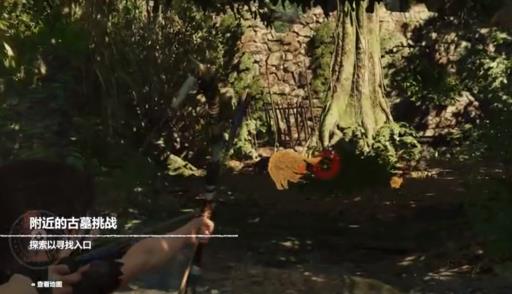 古墓丽影暗影白化水豚古墓怎么走?4
