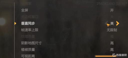 消逝的光芒增强版设置在哪里?3