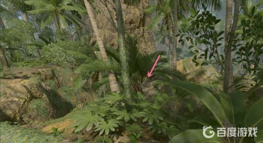 丛林地狱干叶子怎么弄?2