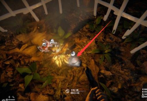 绿色地狱前期怎么喝水?4