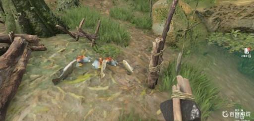 丛林地狱最好的安家地点是哪?2