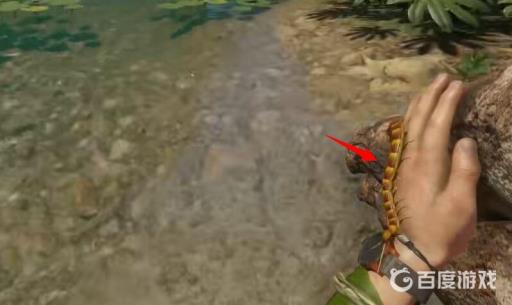 绿色地狱蜈蚣有什么用?_绿色地狱虫子怎么去除