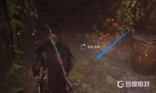 刺客信条英灵殿臂环在哪?4