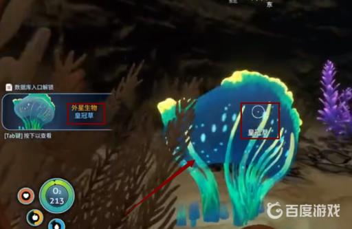 深海迷航孵化酶材料是什么?3