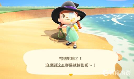 动物之森蛤蜊怎么刷?2