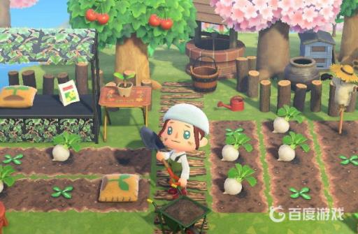 动物森友会为什么去巴猎岛没有广场?_动森只能去巴猎岛
