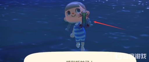 动物之森如何潜水抓海洋生物?7