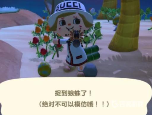 动森为什么刷不到竹子岛?2