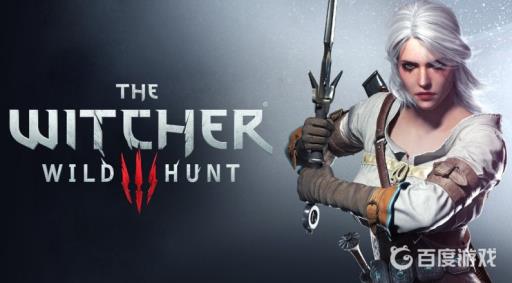 巫师3代码怎么输入?1