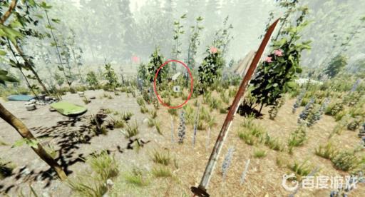 森林羽毛怎么快速收集?3