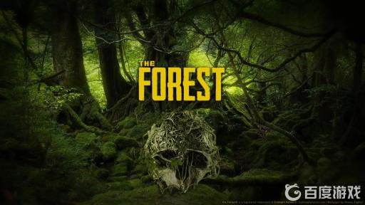 森林肉怎么风干?1