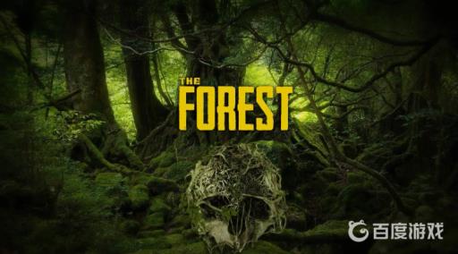 森林熊的位置在哪?1