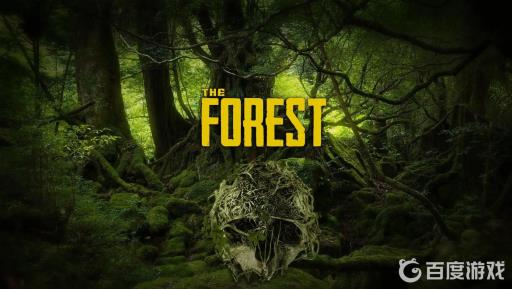 森林船上的密码门怎么打开?1