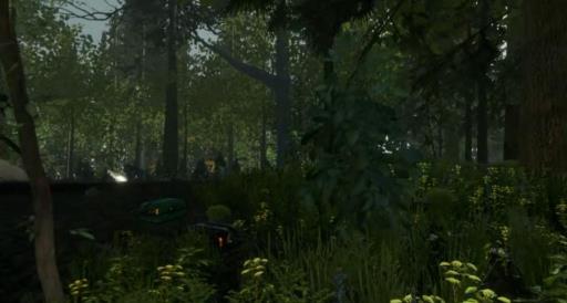 森林没有状态显示了怎么办?5