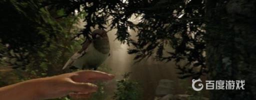 森林联机好友无法存档怎么办?2