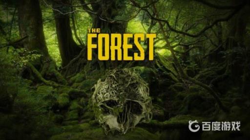 森林怎么收集水?1